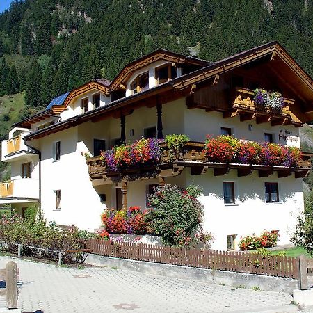 Haus Alpengruss Apartment Neustift im Stubaital Exterior photo